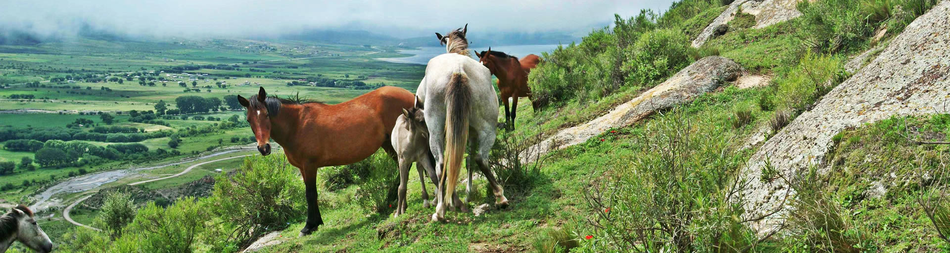 La Caldera